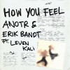 ANOTR — HOW YOU FEEL (FEAT. LEVEN KALI)
